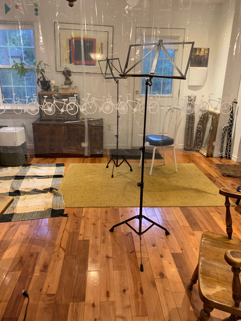 In person Flute and Recorder Lessons
